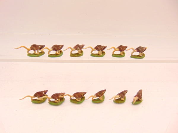Warhammer Quest Rats
