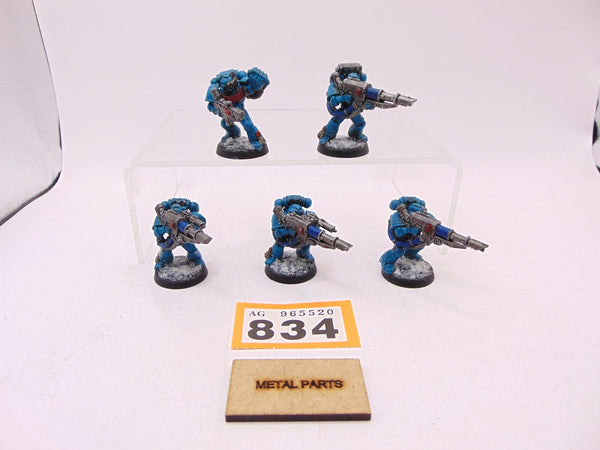 Devastator Squad