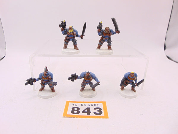 Wolf Scouts