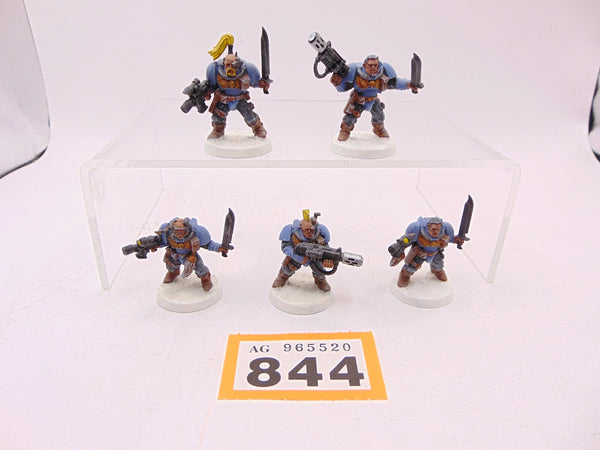 Wolf Scouts