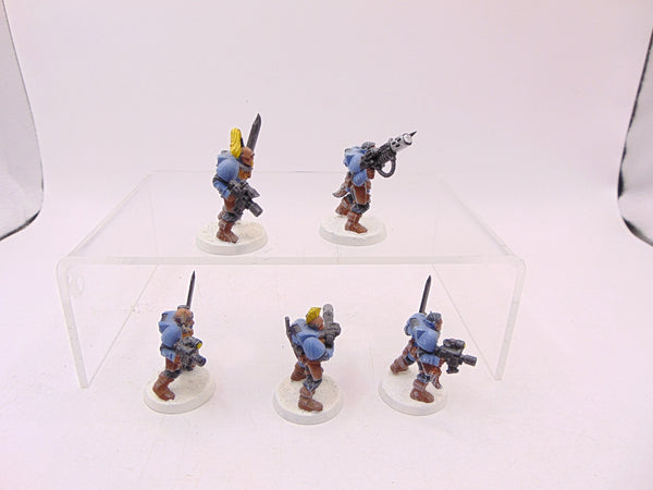 Wolf Scouts
