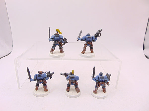 Wolf Scouts
