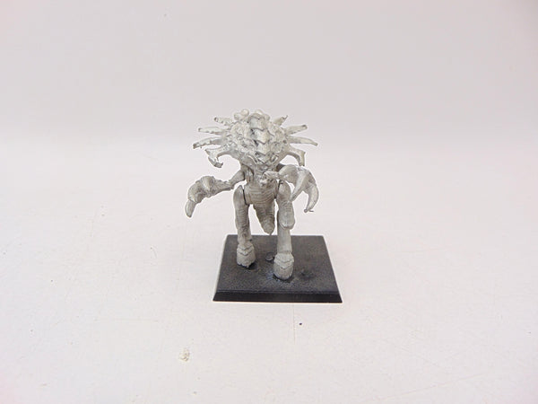 Zoanthrope