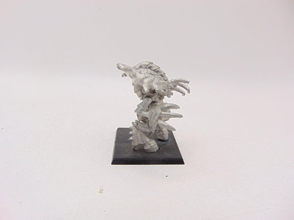 Zoanthrope