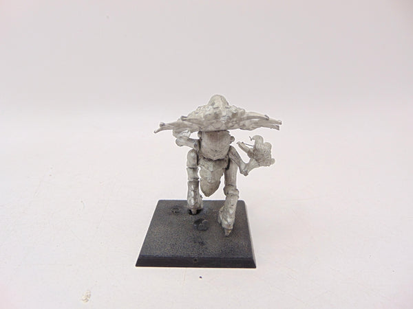 Zoanthrope