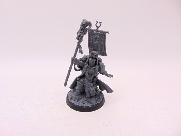 Chief Librarian Tigurius