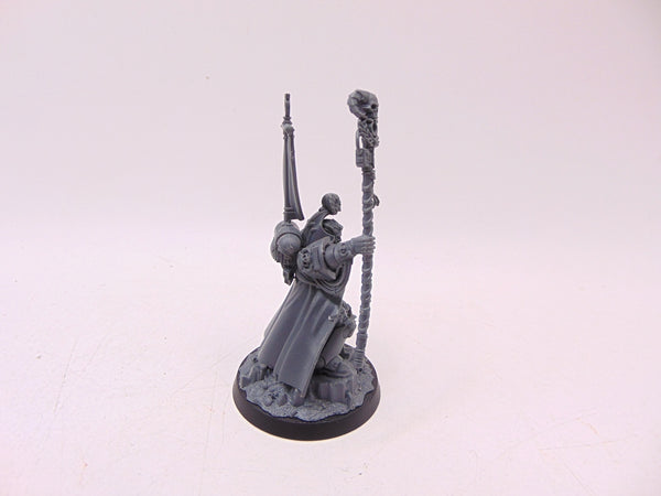 Chief Librarian Tigurius