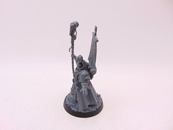 Chief Librarian Tigurius