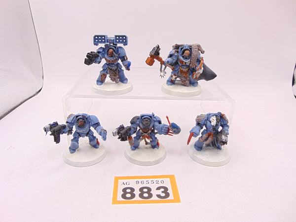 Wolf Guard Terminators