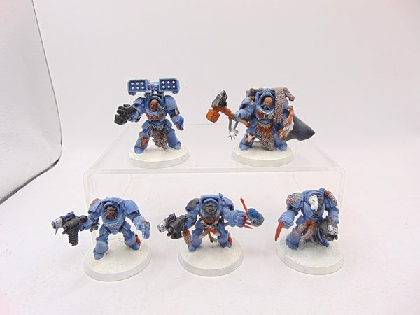 Wolf Guard Terminators