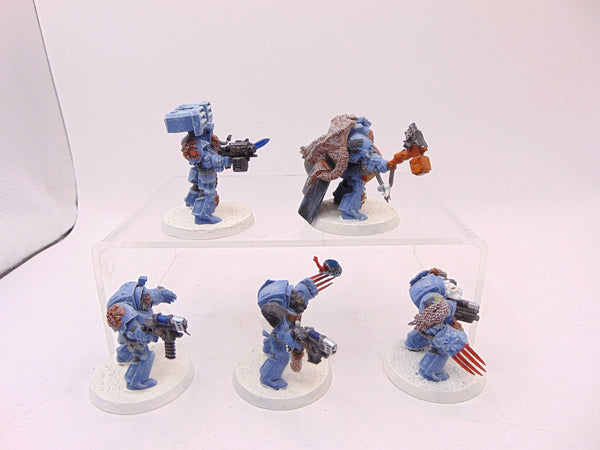 Wolf Guard Terminators