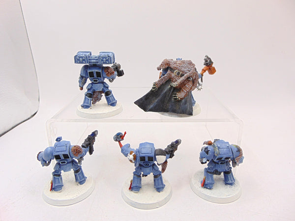 Wolf Guard Terminators