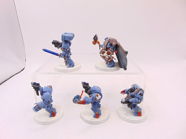 Wolf Guard Terminators