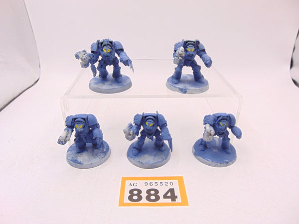 Wolf Guard Terminators