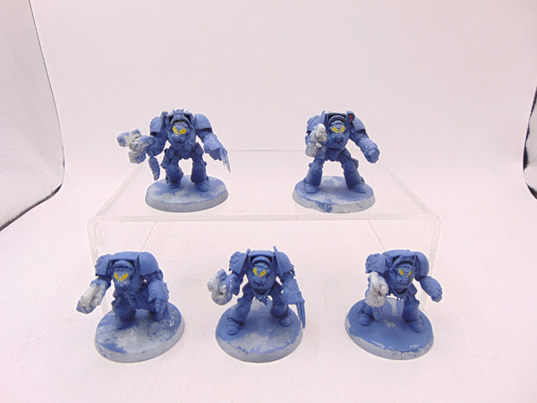 Wolf Guard Terminators