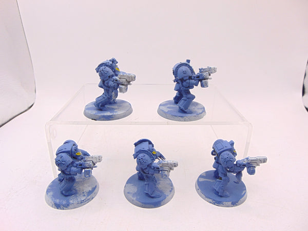 Wolf Guard Terminators