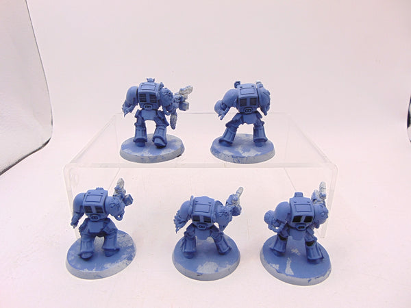 Wolf Guard Terminators