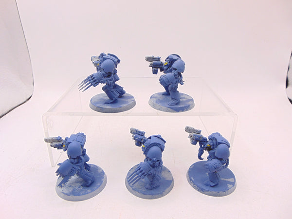 Wolf Guard Terminators