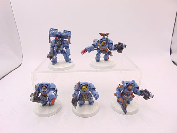 Wolf Guard Terminators