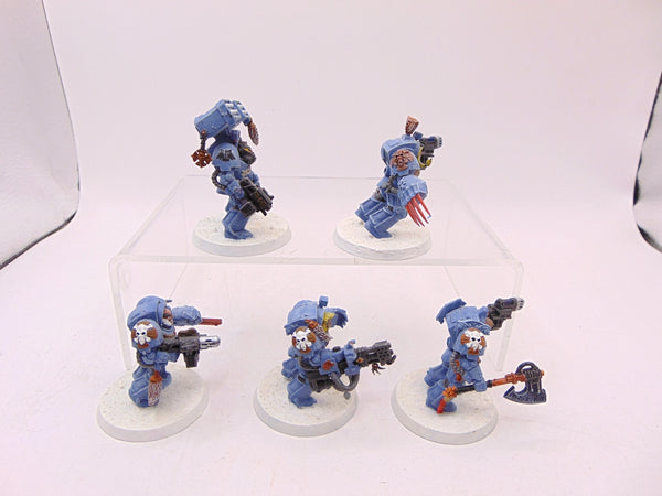Wolf Guard Terminators