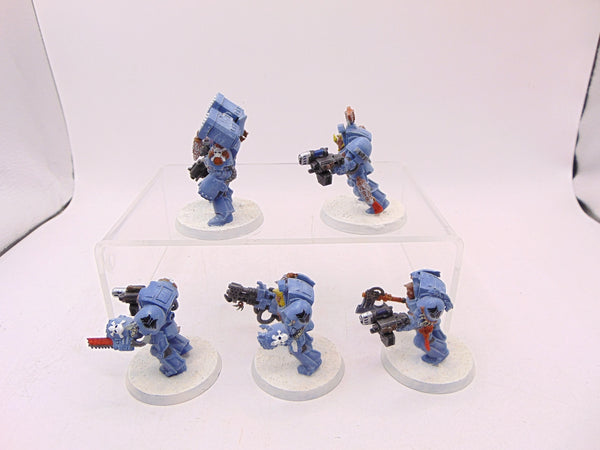 Wolf Guard Terminators