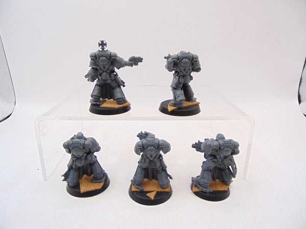 Sternguard Veterans