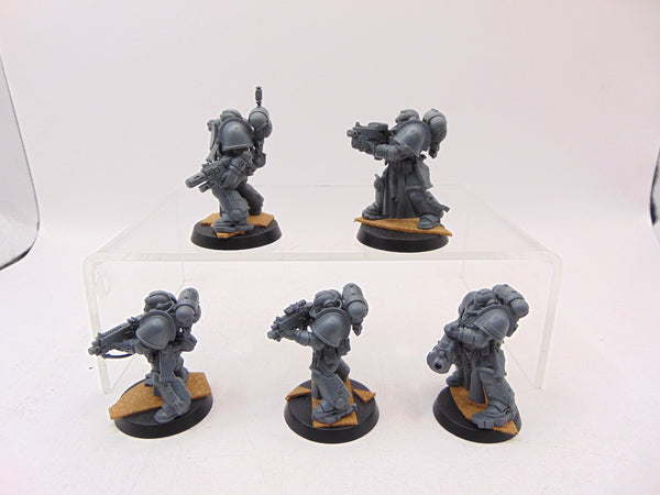 Sternguard Veterans
