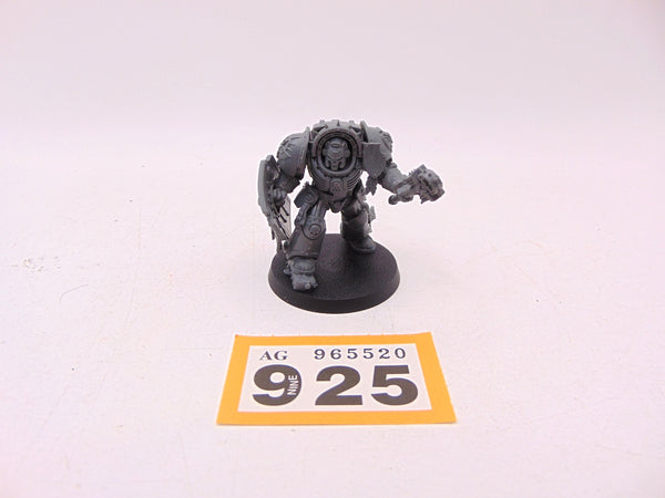 Chaplain in Terminator Armour