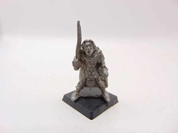 C08 High Elves Hero