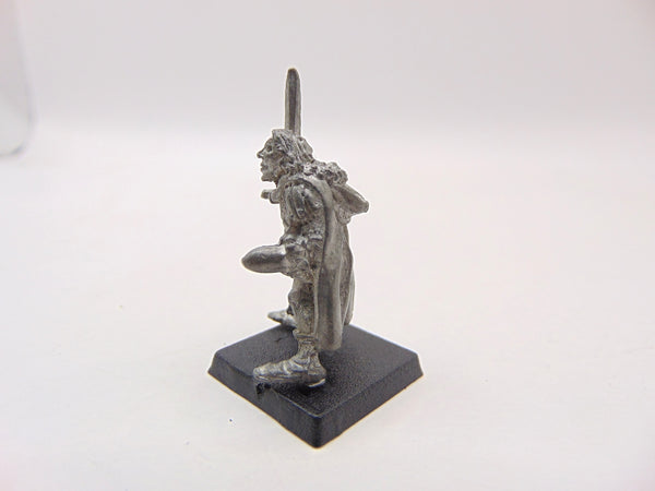 C08 High Elves Hero