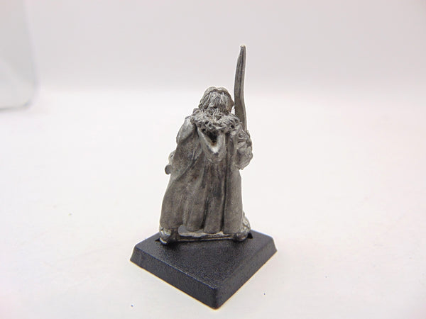C08 High Elves Hero