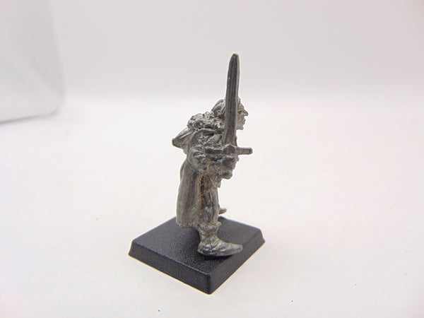 C08 High Elves Hero