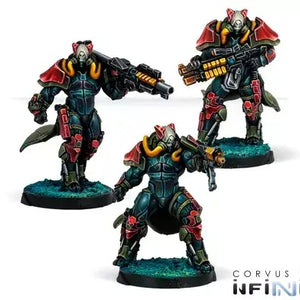 Rodoks, Armed Imposition Detachment