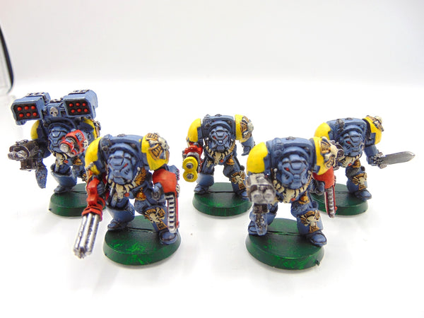 Wolf Guard Terminators