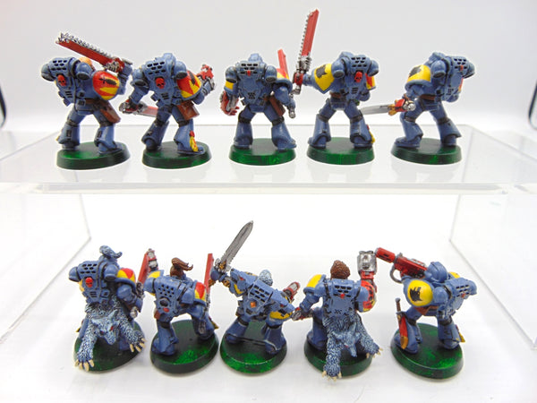Wolf Pack with Wolf Guard / Sergeant