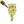 Speedpaint Marker - Maggot Skin
