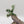 The Other World BDD20 Green Dragon