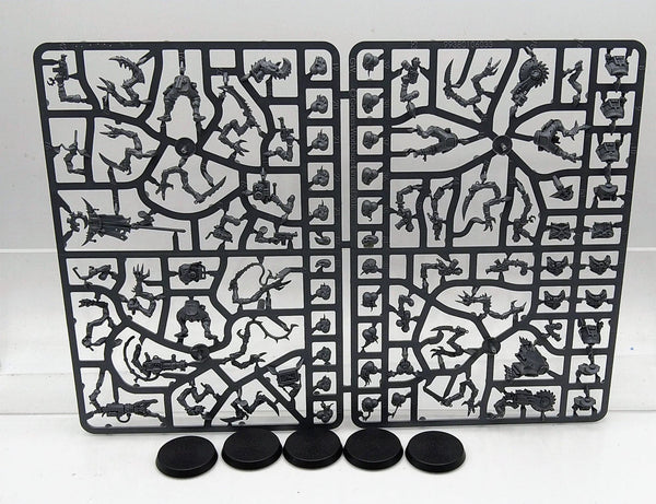 Acolyte Hybrids / Hybrid Metamorphs