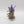 Archon