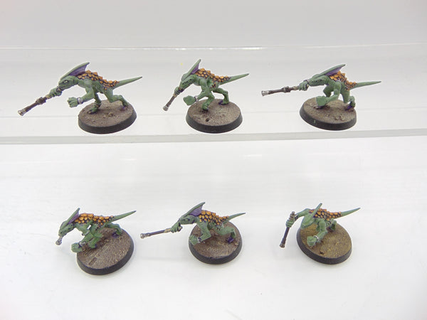 Skinks