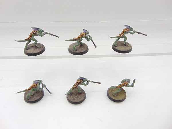 Skinks