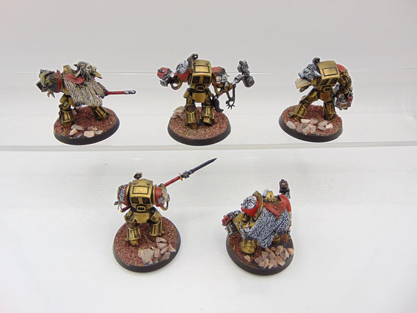 Converted Terminator / Paladin Squad