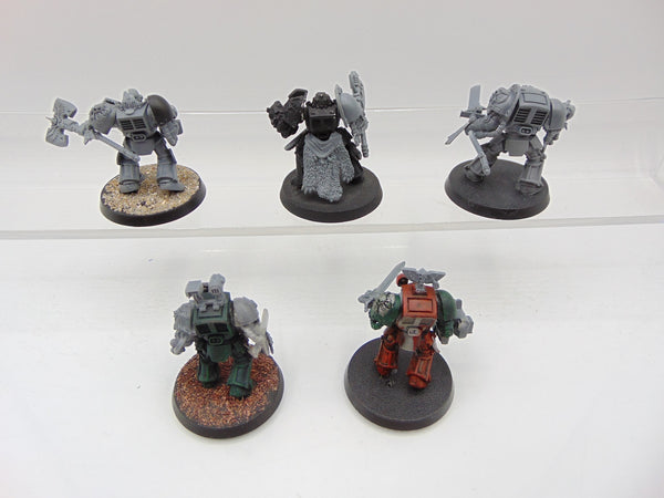 Converted Terminator / Paladin Squad