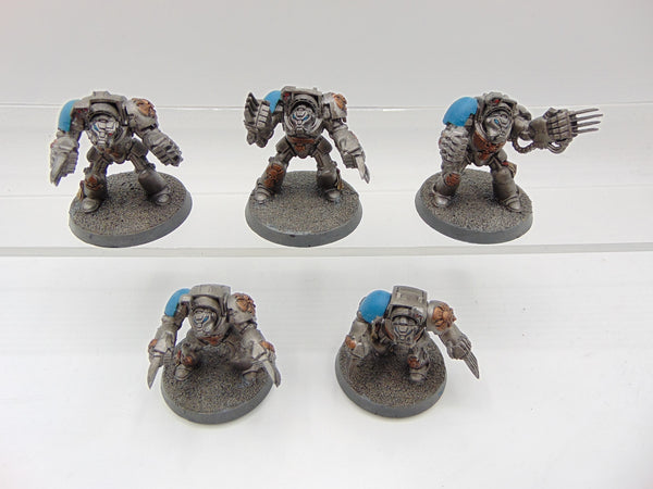 Terminator Assault Squad