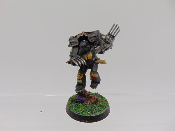 Edryc Setorax