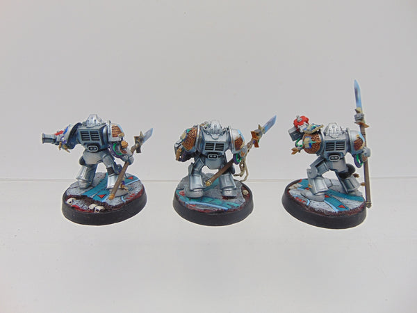 Terminator / Paladin Squad