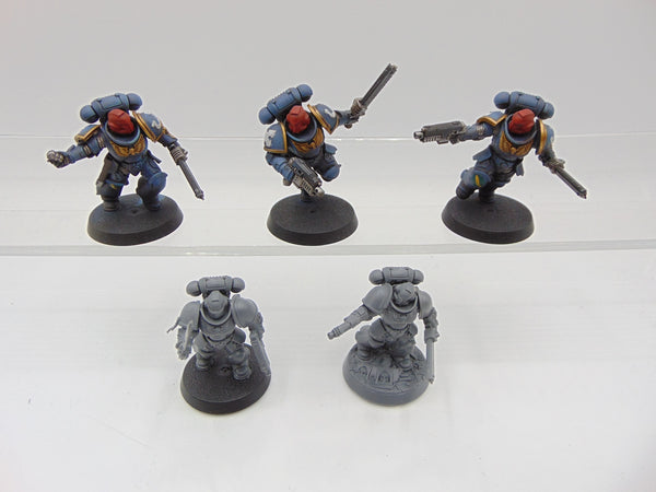 Assault Intercessors