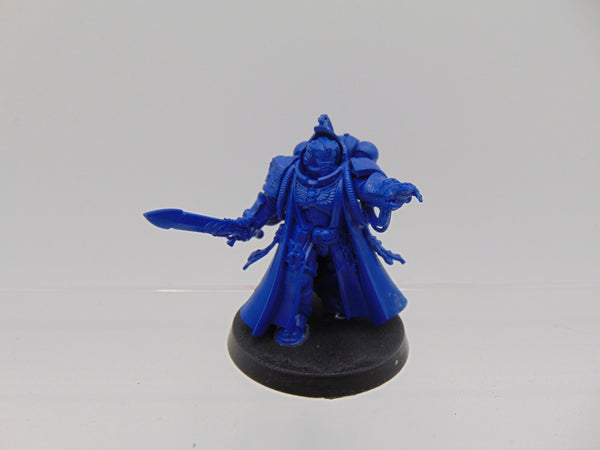 Primaris Librarian