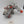 Stormraven Gunship