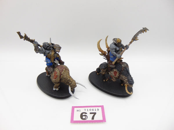 Mournfang Cavalry Pack